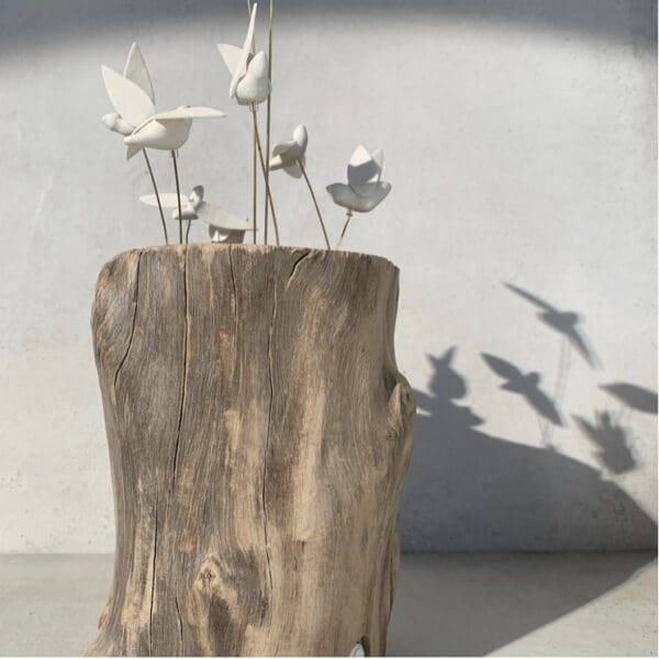 9 Birds